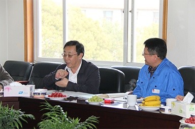 2013年3月18日，时任国家工信部节能司副司长杨铁生一行莅临公司参观指导